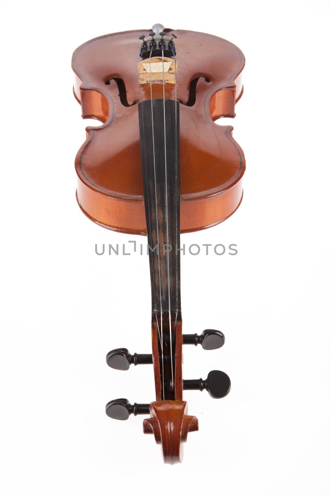 Old violin on isolated studio background