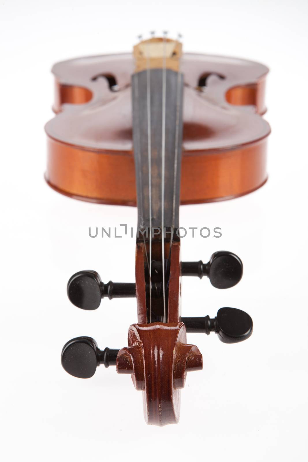 Violin by Fotoskat