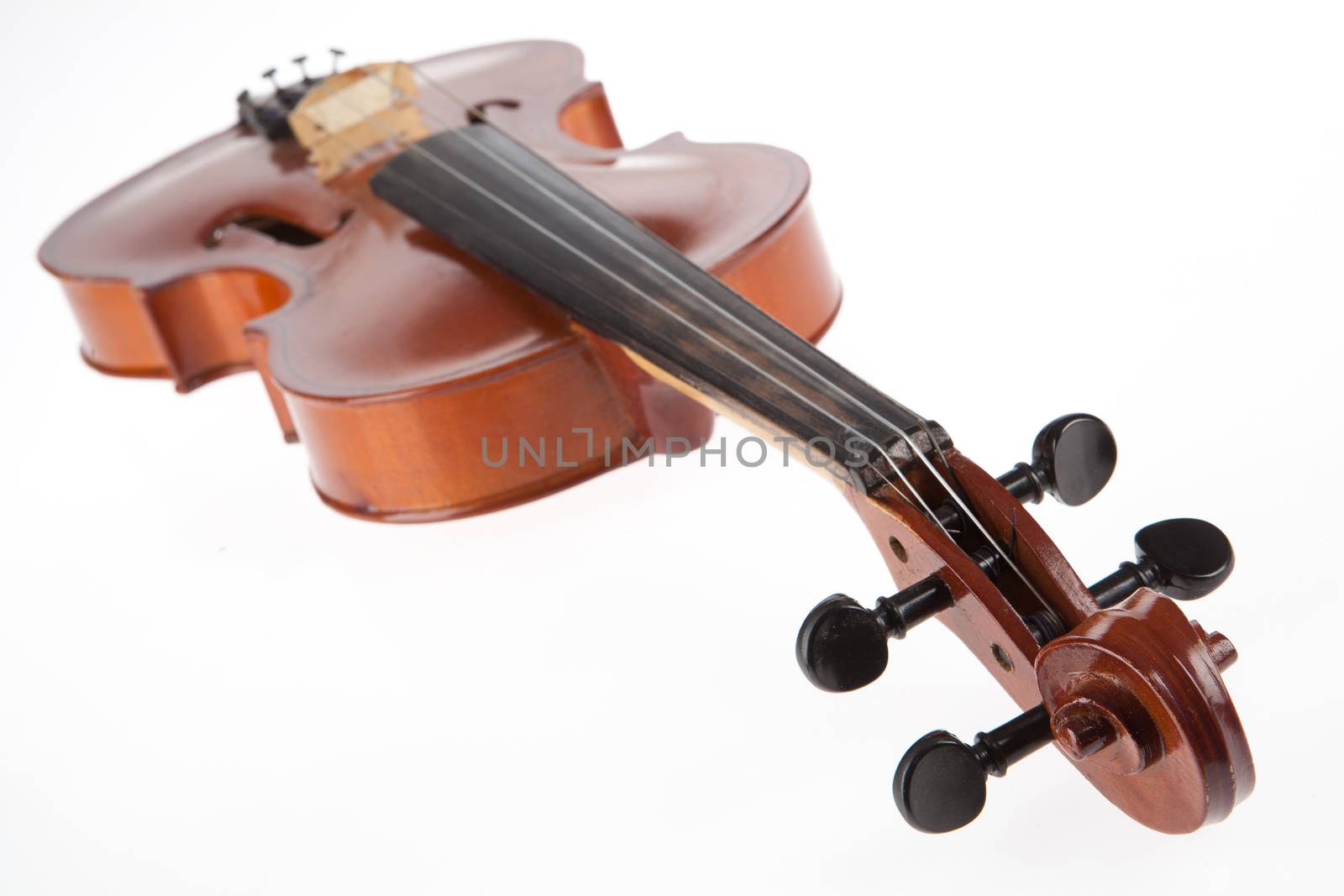 Old violin on isolated studio background