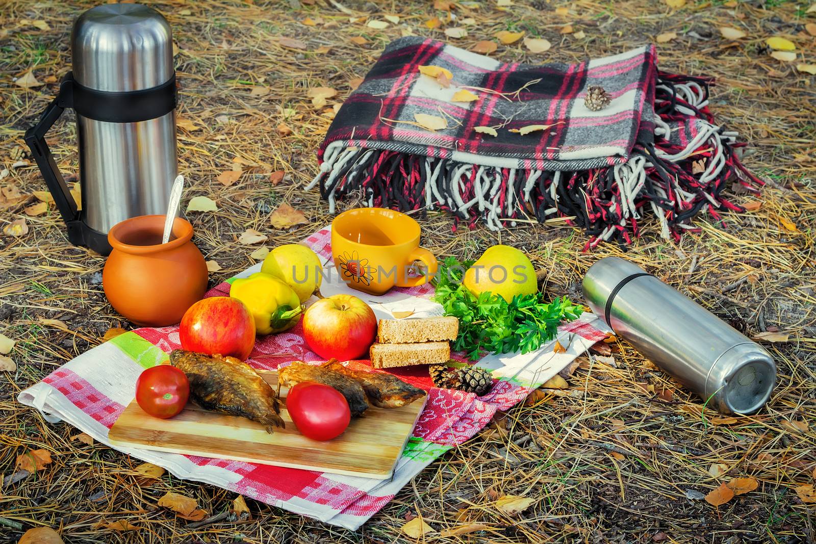 The autumn forest glade on the tablecloth prepared picnic of fruits, vegetables, fried fish, coffee in a thermos. Nearby is a warm blanket.