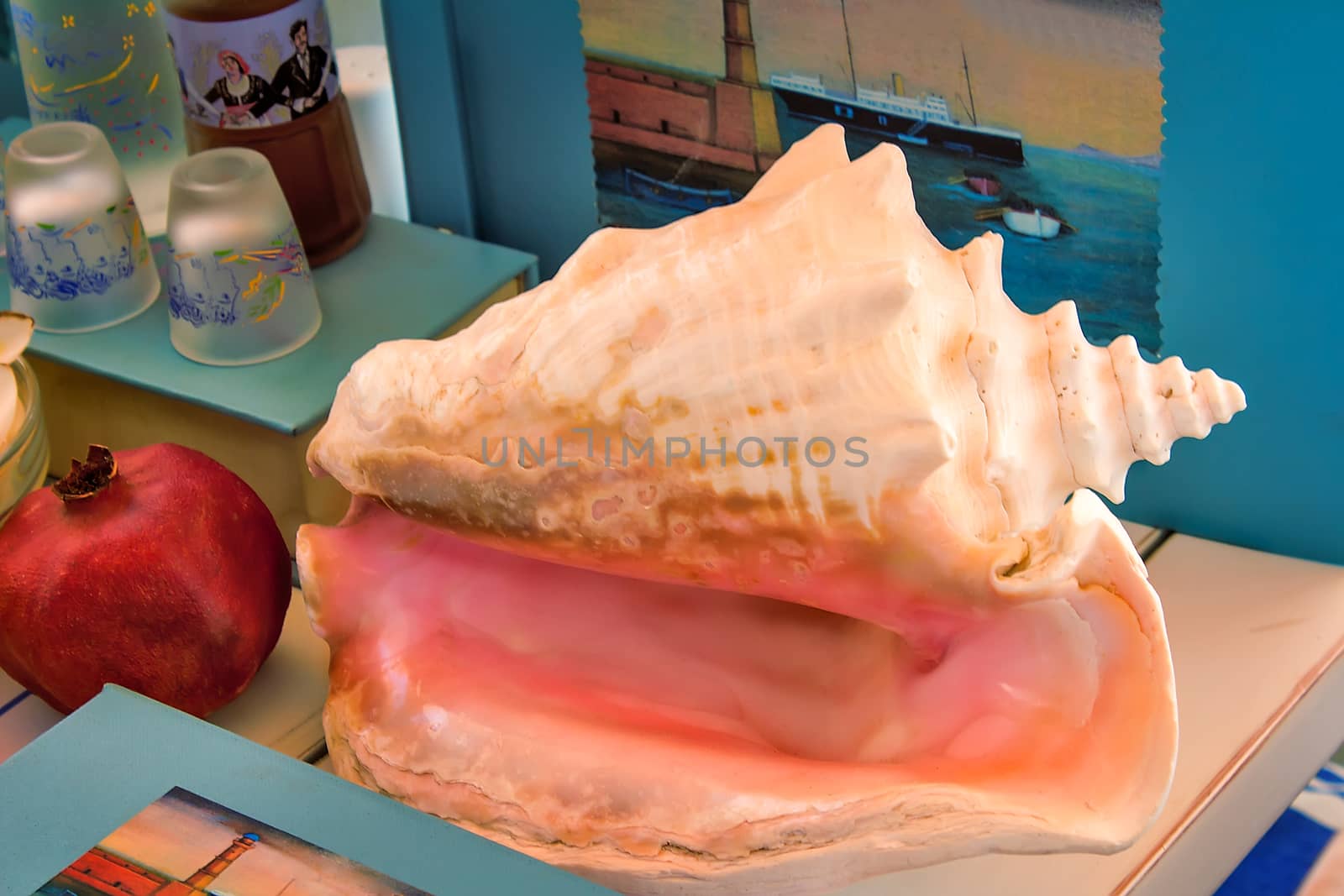 Still life: the table is a large beautiful white-pink sea shell, next to her are books, grenades, and other items.