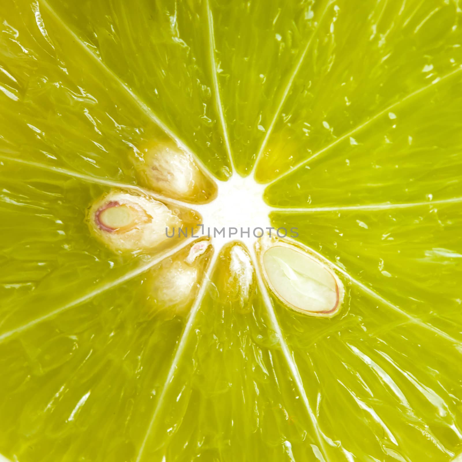 Closeup slice of  lime fruit  background.