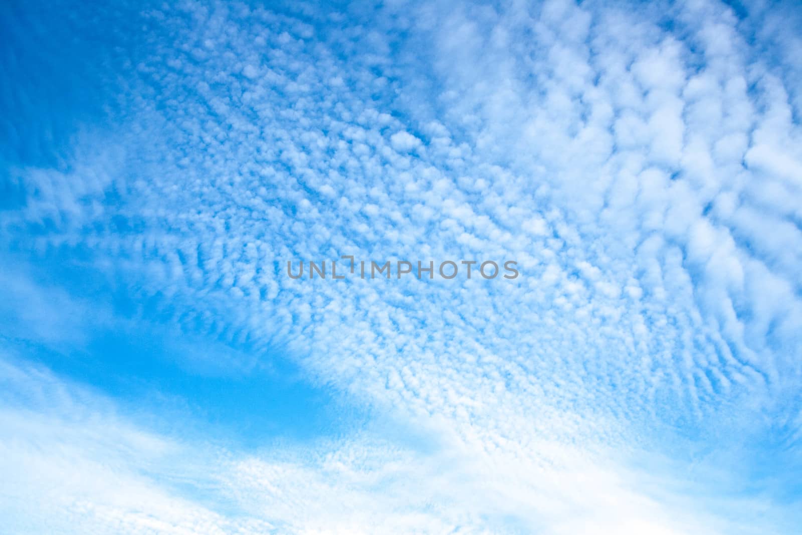 blue sky by alexx60