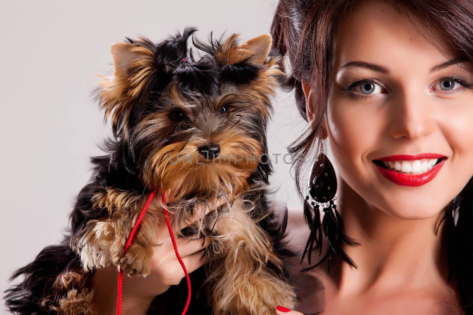 Young beautiful brunette woman in a black dress with a Yorkshire terrier