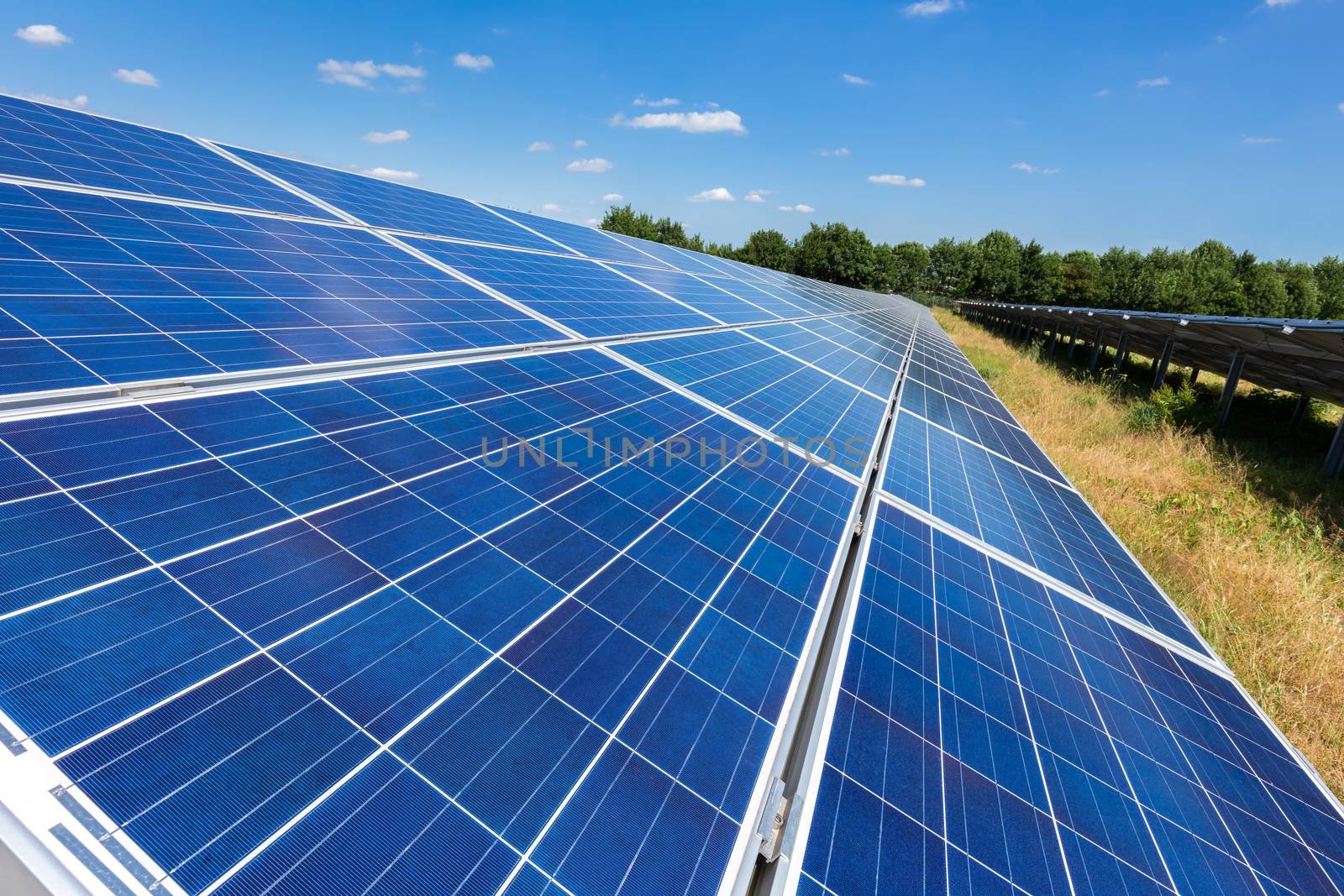 Close up of blue solar panels on ground in long straight line