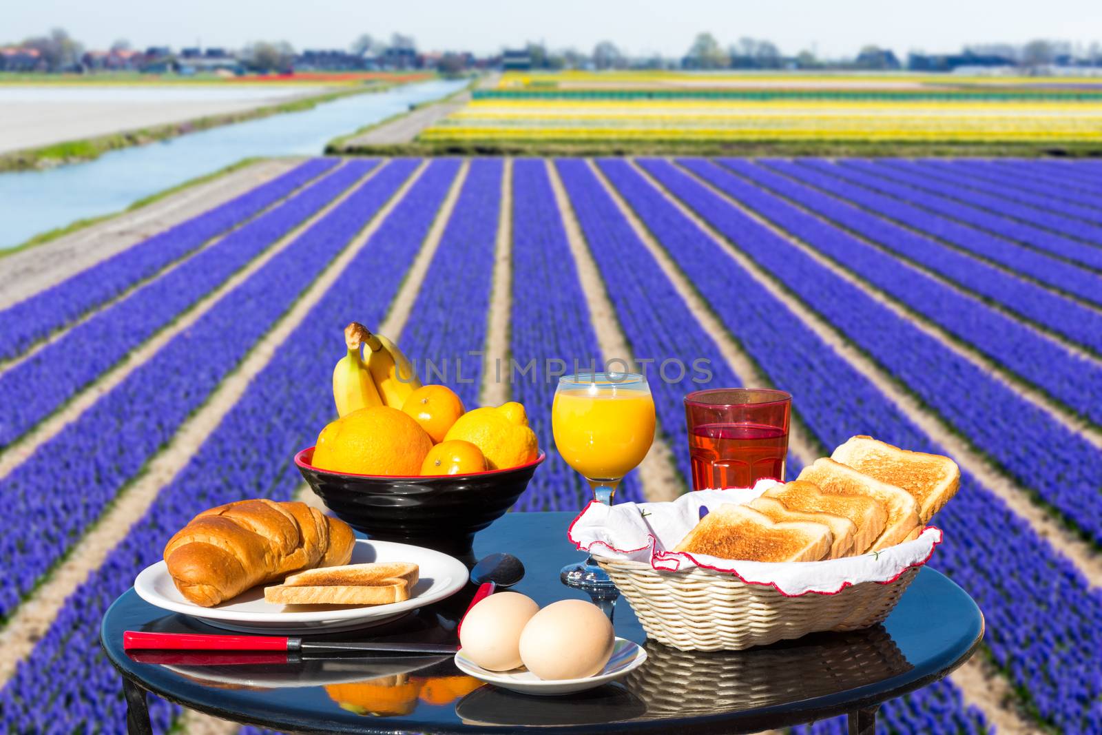 Table with food and drink near flowers field by BenSchonewille