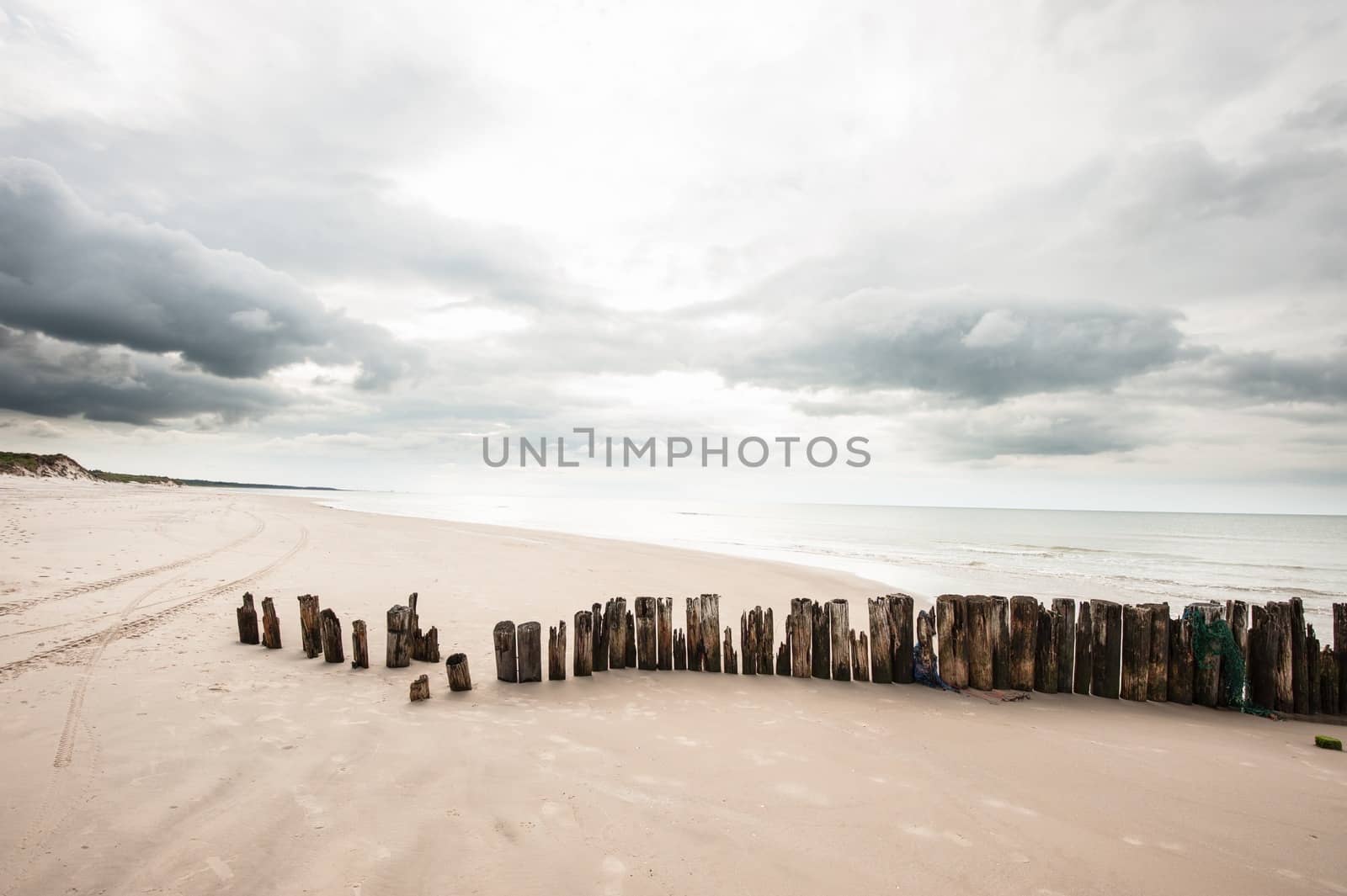 Poles in the sand at the beach in Tversted in Denmark