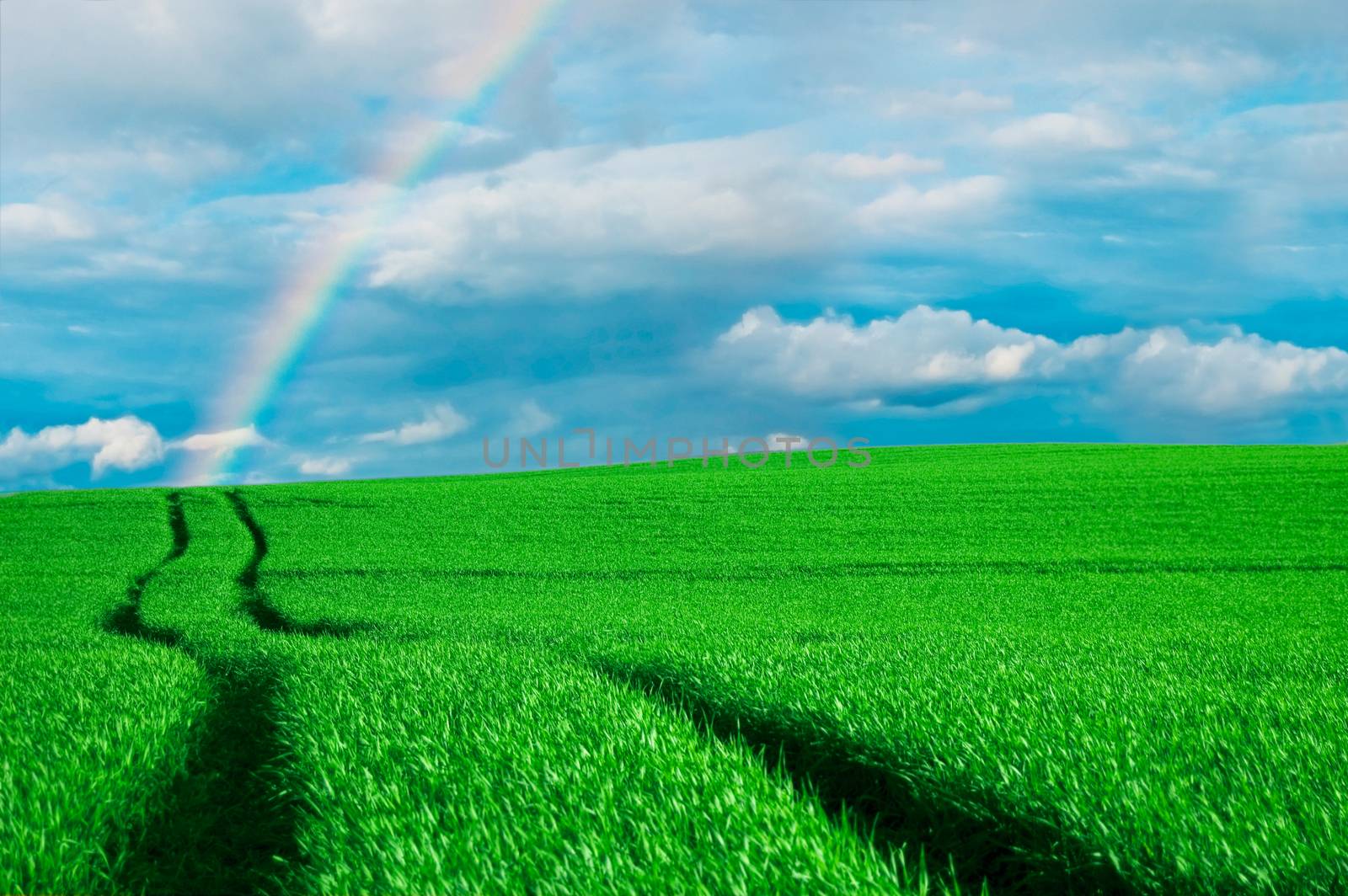 Rainbow over the green field at summer.