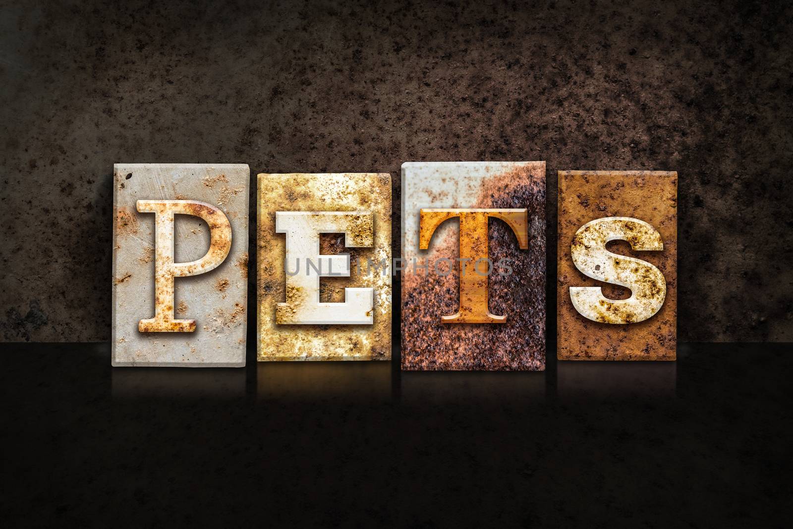 The word "PETS" written in rusty metal letterpress type on a dark textured grunge background.
