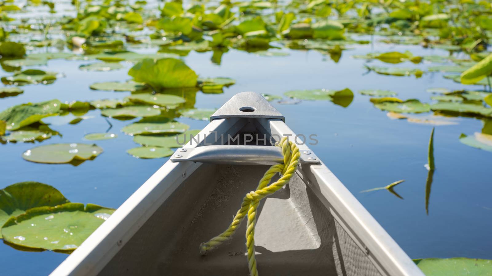 Canoe among lily pads by rgbspace