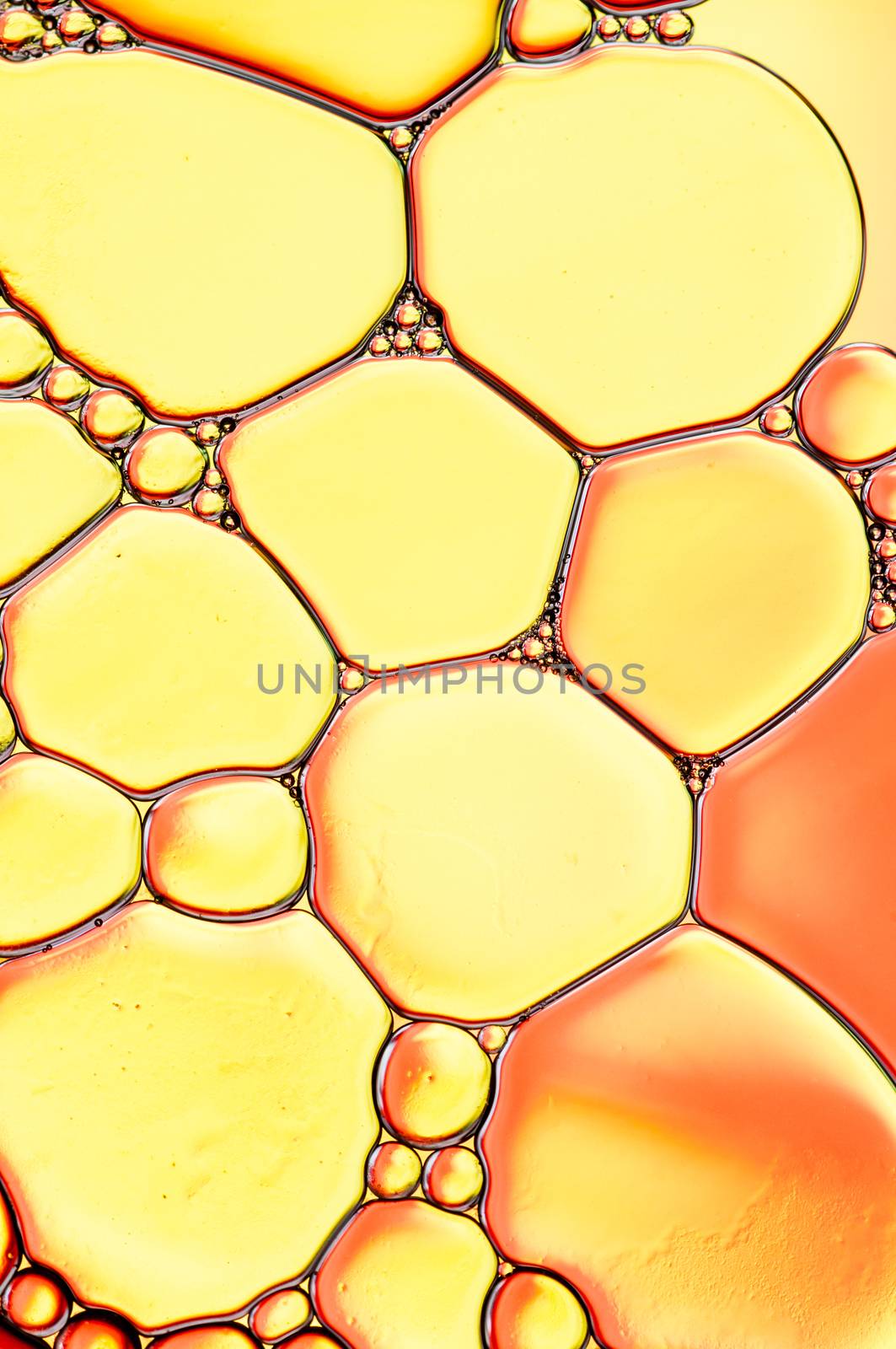 Abstract Colorful reflections on oil and soap bubbles in water
