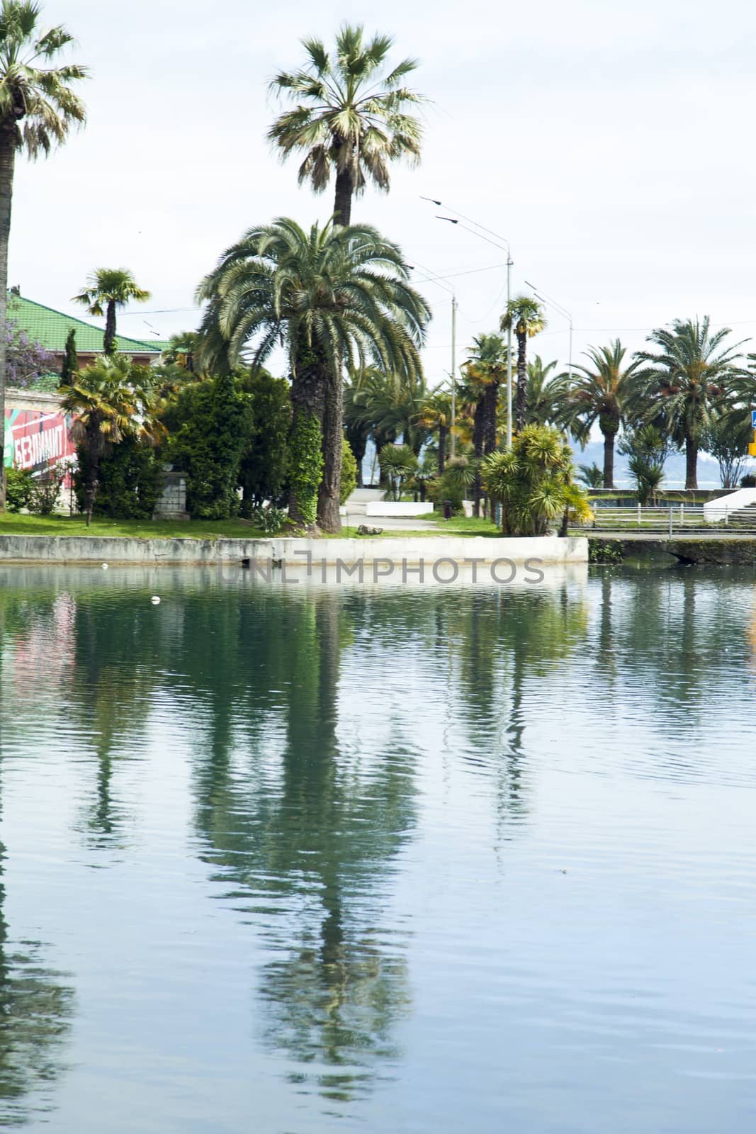 City pond by selezenj