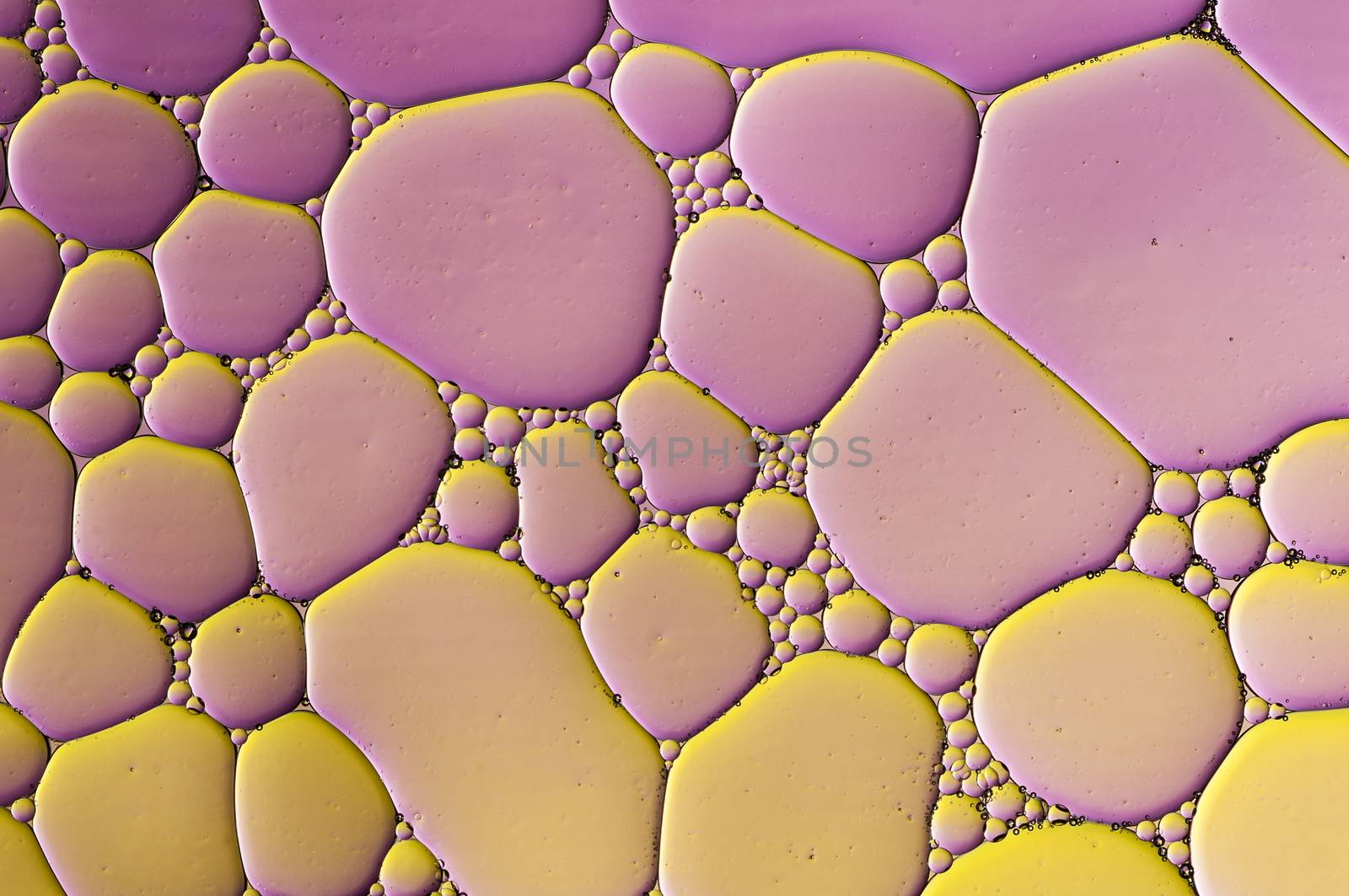 Abstract Colorful reflections on oil and soap bubbles in water