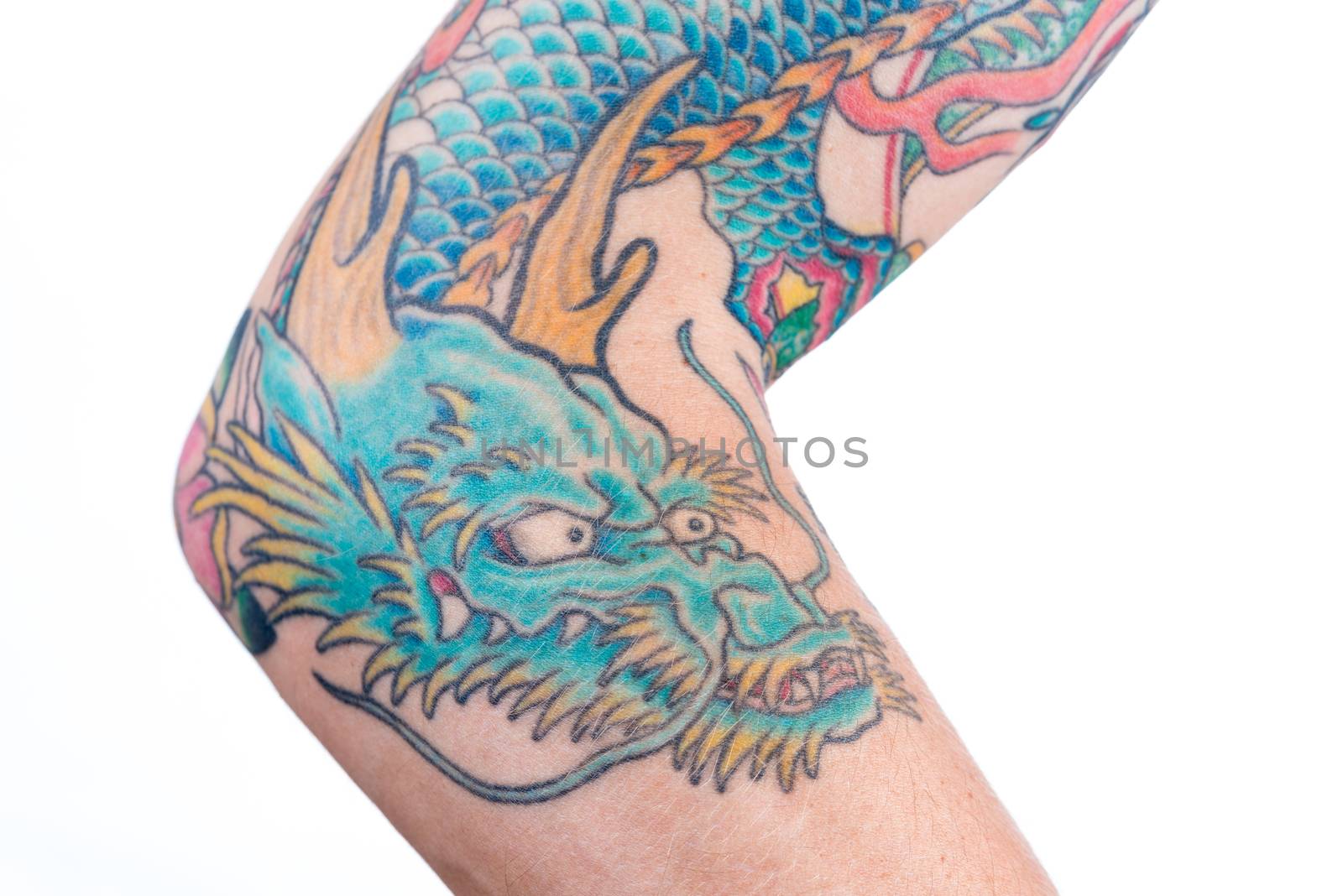 A detailed shot of a blue/green dragon tattoo in Japanese style on the forearm, elbow and bicep of a white male isolated on a white background.