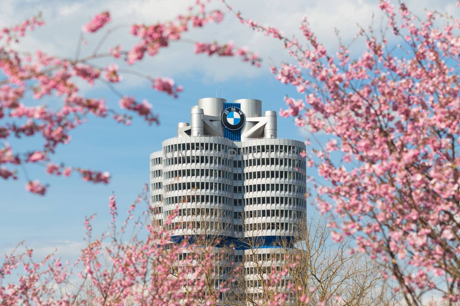 Munich, Germany - April 12, 2015: High rise tower building of BMW head office German car manufacturer framed by pink spring flowering tree branches.