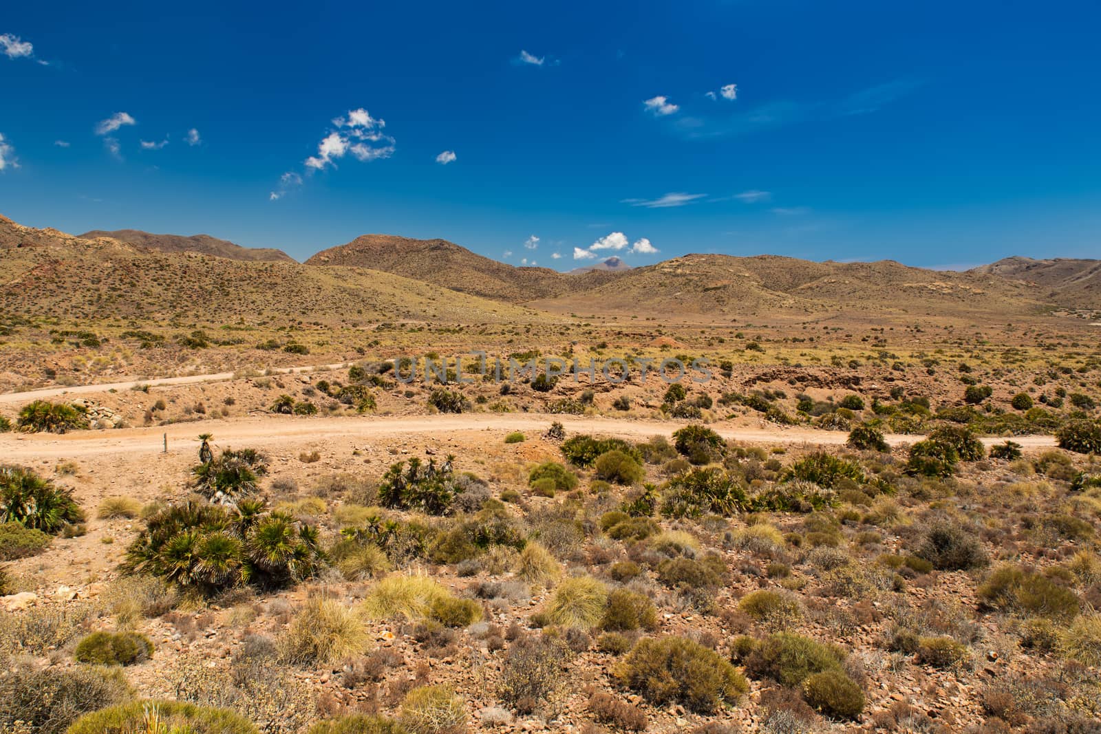 Dirt road in Cabo de Gata National Park, Andalusia, Spain by fisfra