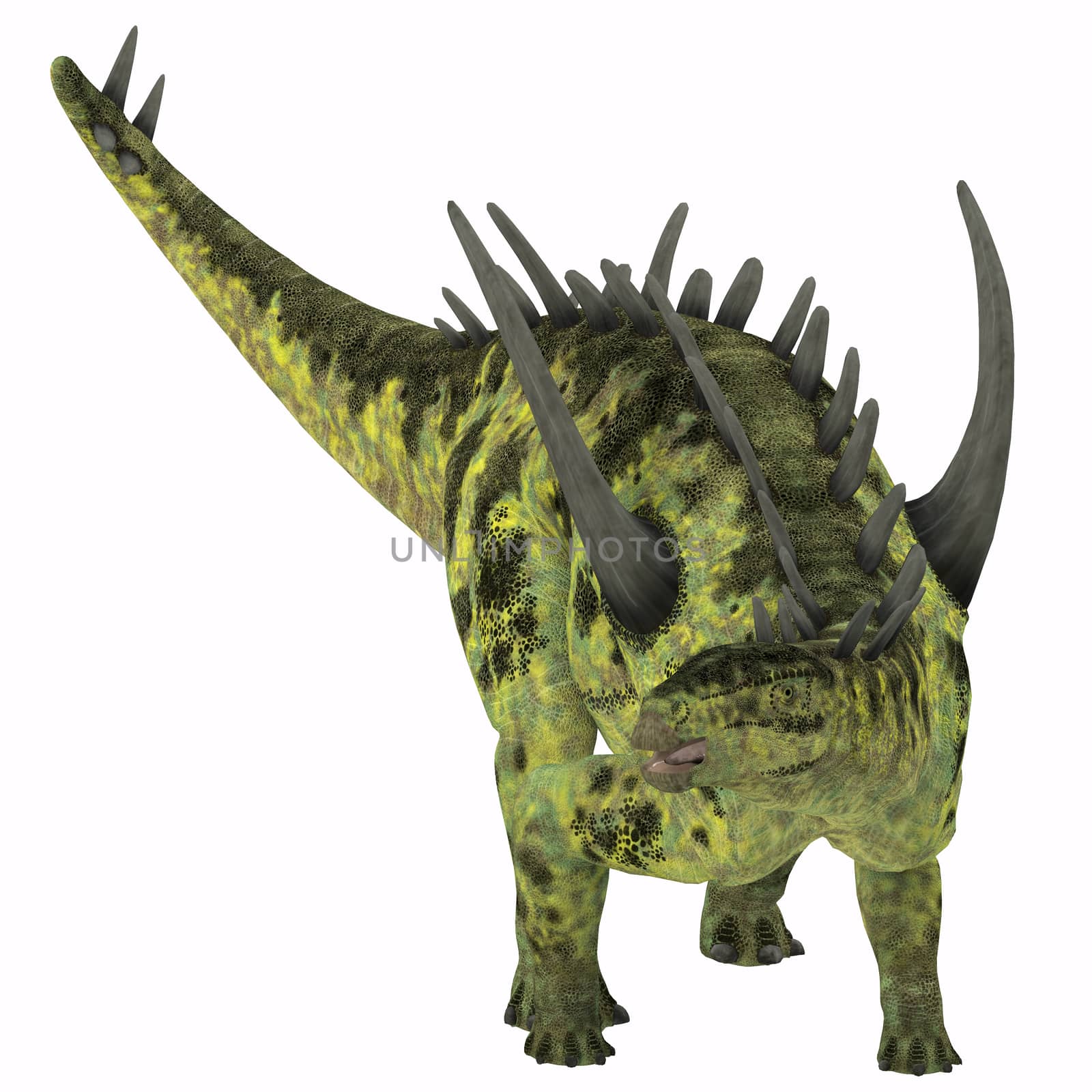 Gigantspinosaurus was a herbivorous Stegosaur dinosaur that lived in the Jurassic Age of China.