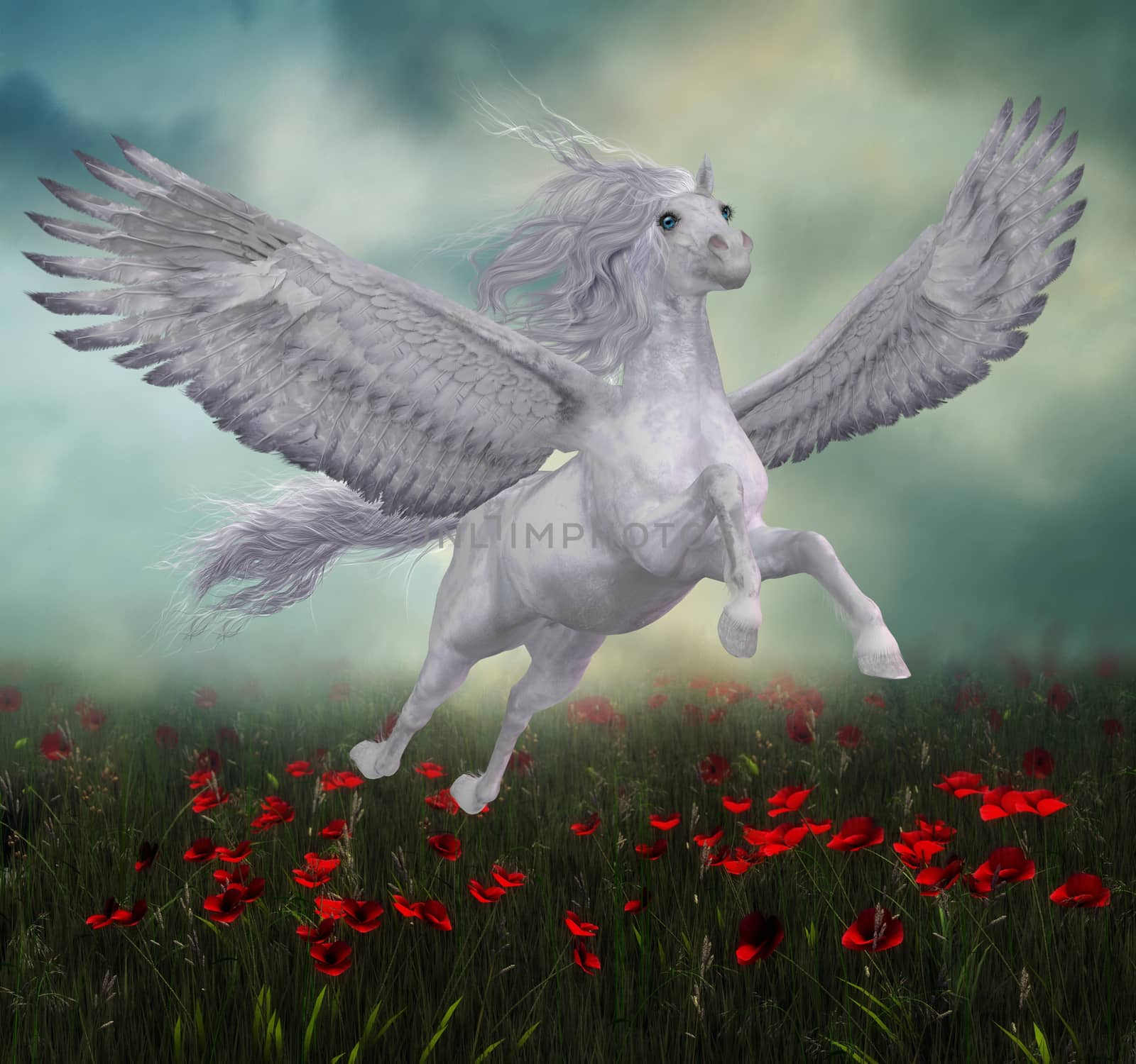 A beautiful white Pegasus horse flies over a field of red poppies on wide spread wings.