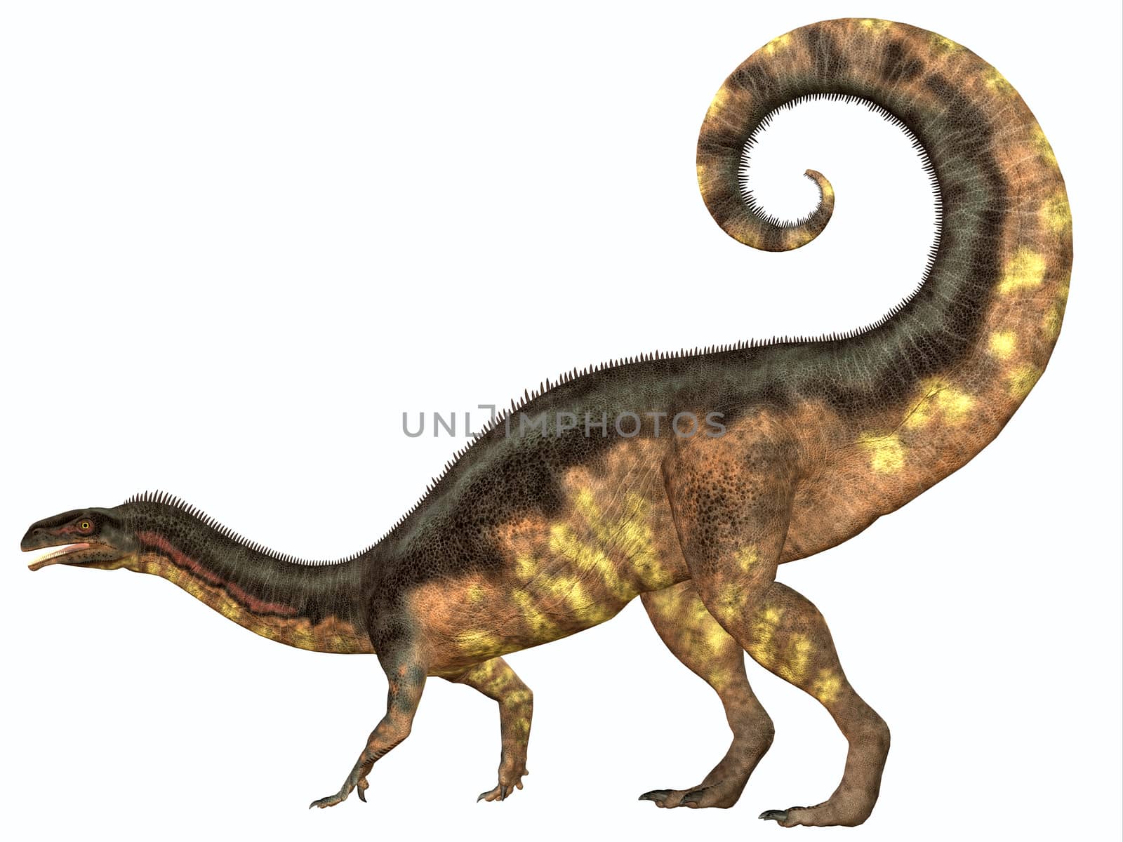 Plateosaurus Dinosaur Tail by Catmando