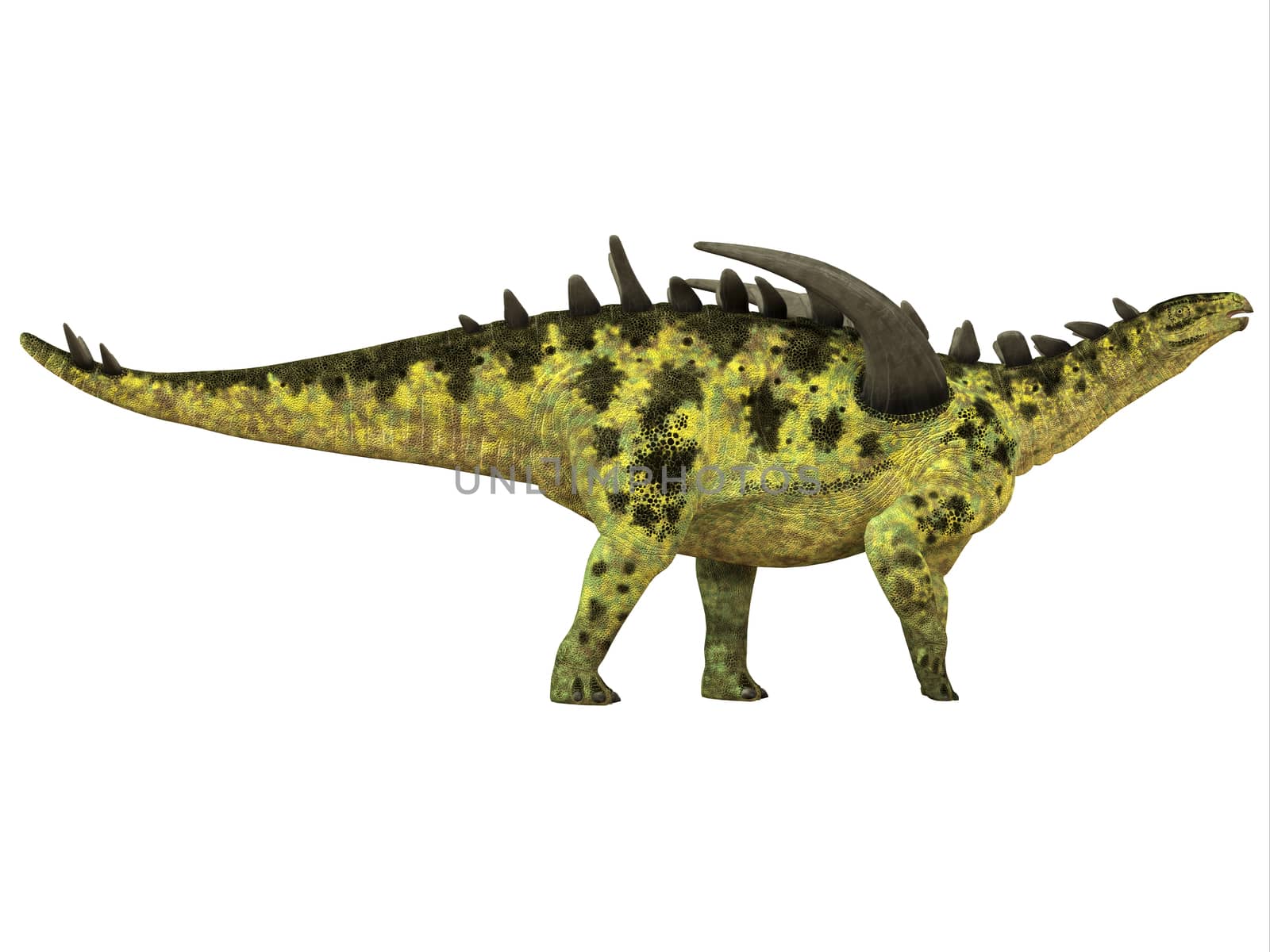 Gigantspinosaurus Side Profile by Catmando