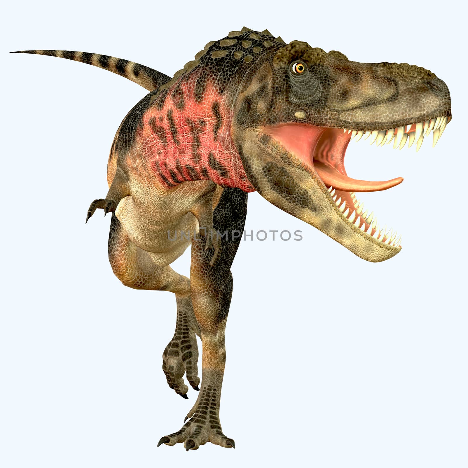 Tarbosaurus Carnivore Dinosaur by Catmando