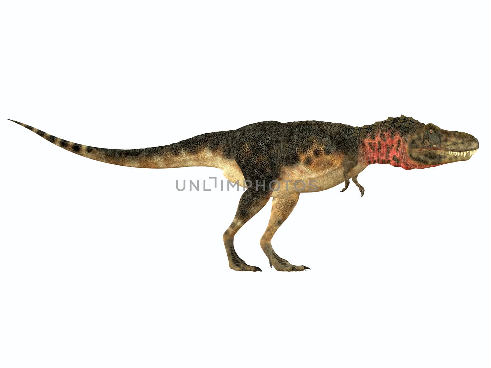 Tarbosaurus was a carnivorous theropod dinosaur that lived during the Cretaceous Period of Asia.