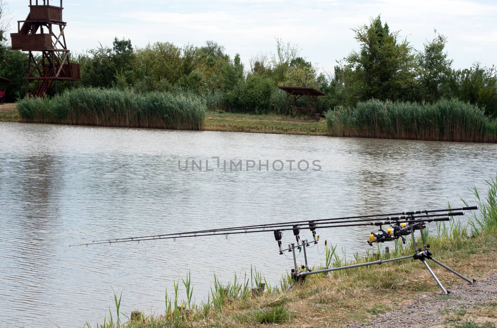 The fishing rod waiting prepared to die.