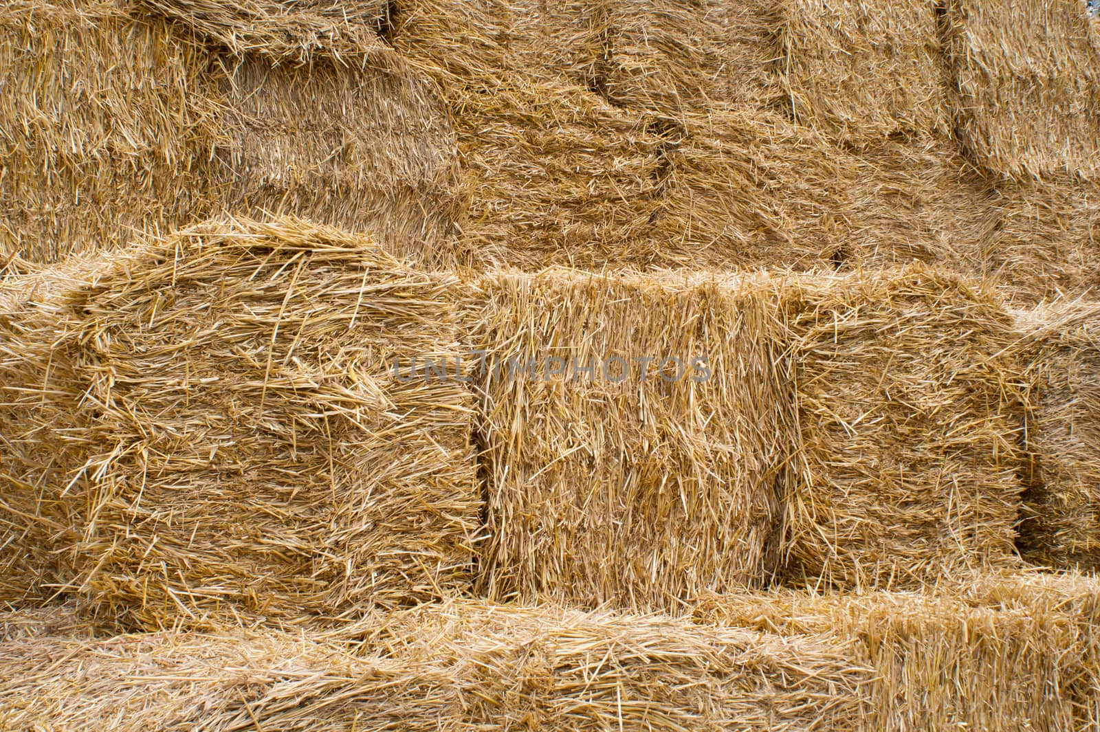 The round bales of straw stacked laid.