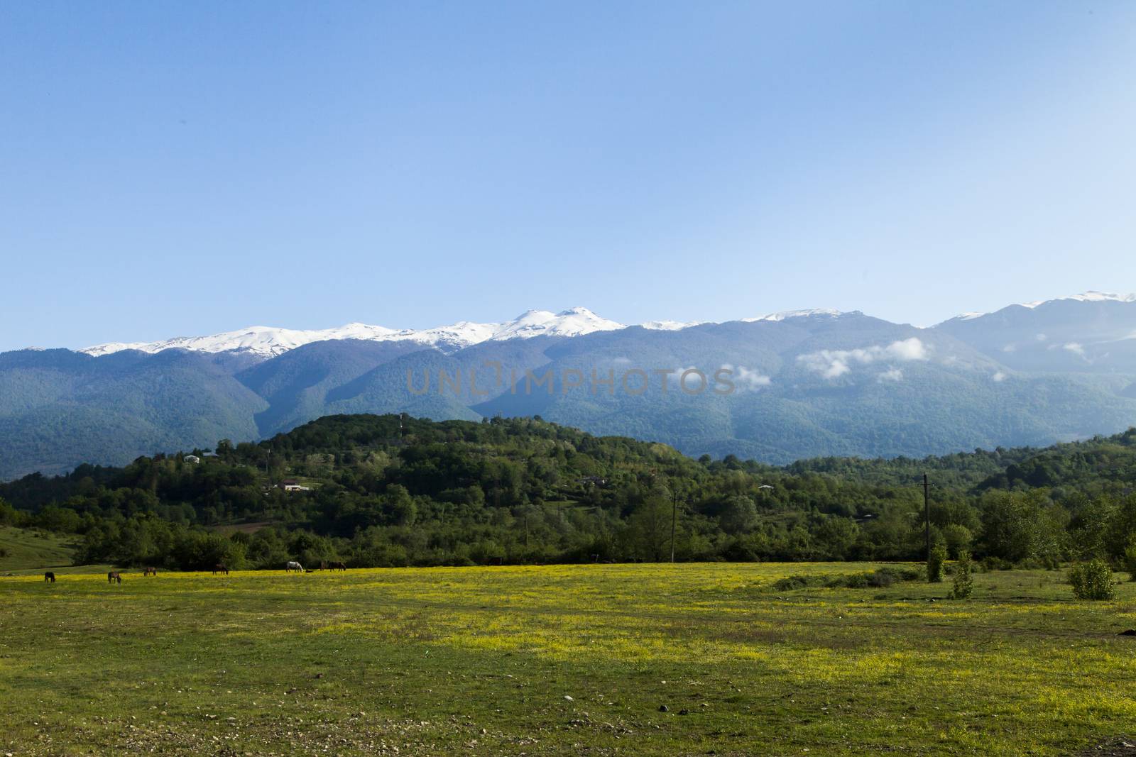 Mountains are covered with snow and the wood and surrounded with clouds