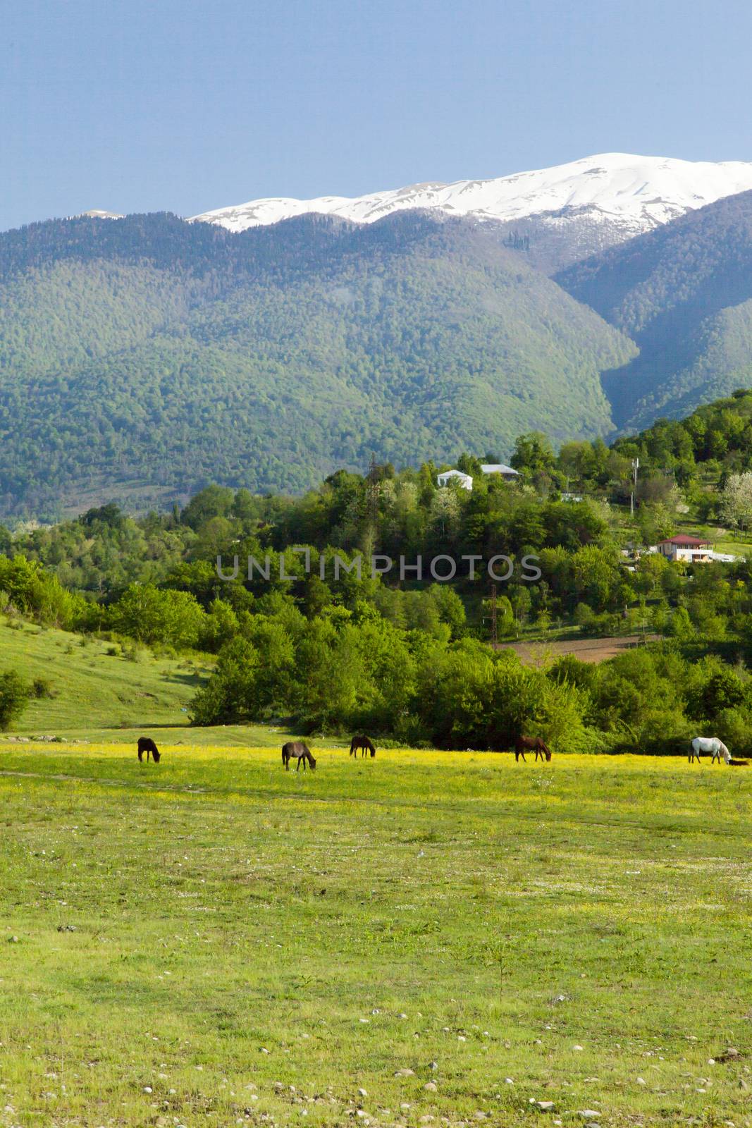 Mountains by selezenj