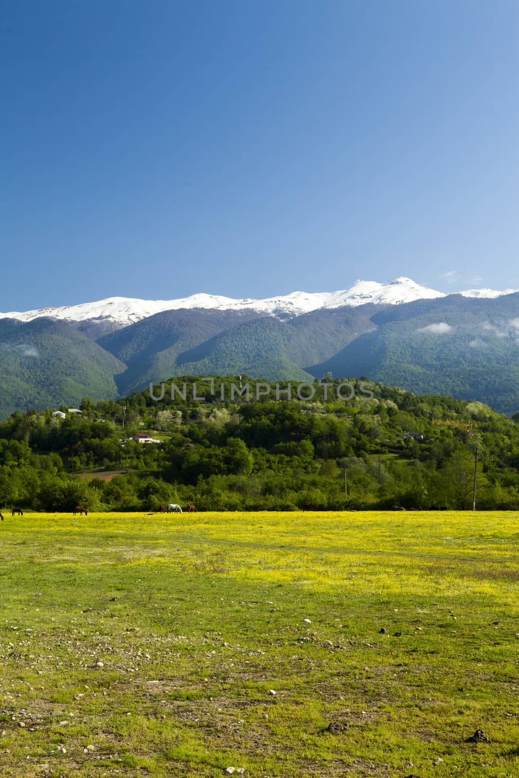 Mountains are covered with snow and the wood and surrounded with clouds