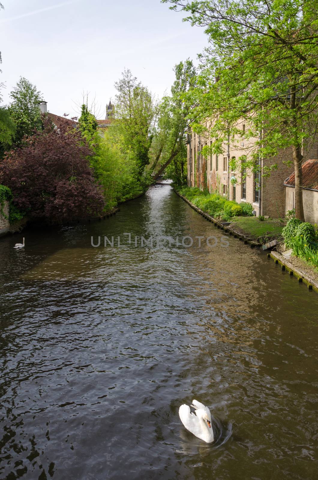 River of Begijnhof in Bruges by siraanamwong