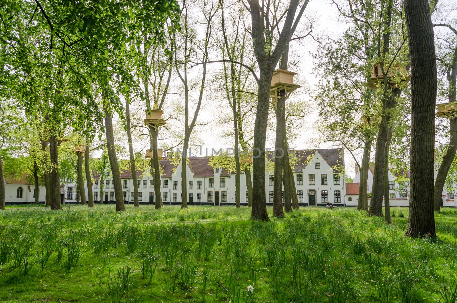 Tree Houses in the Begijnhof in Bruges, Belgium
