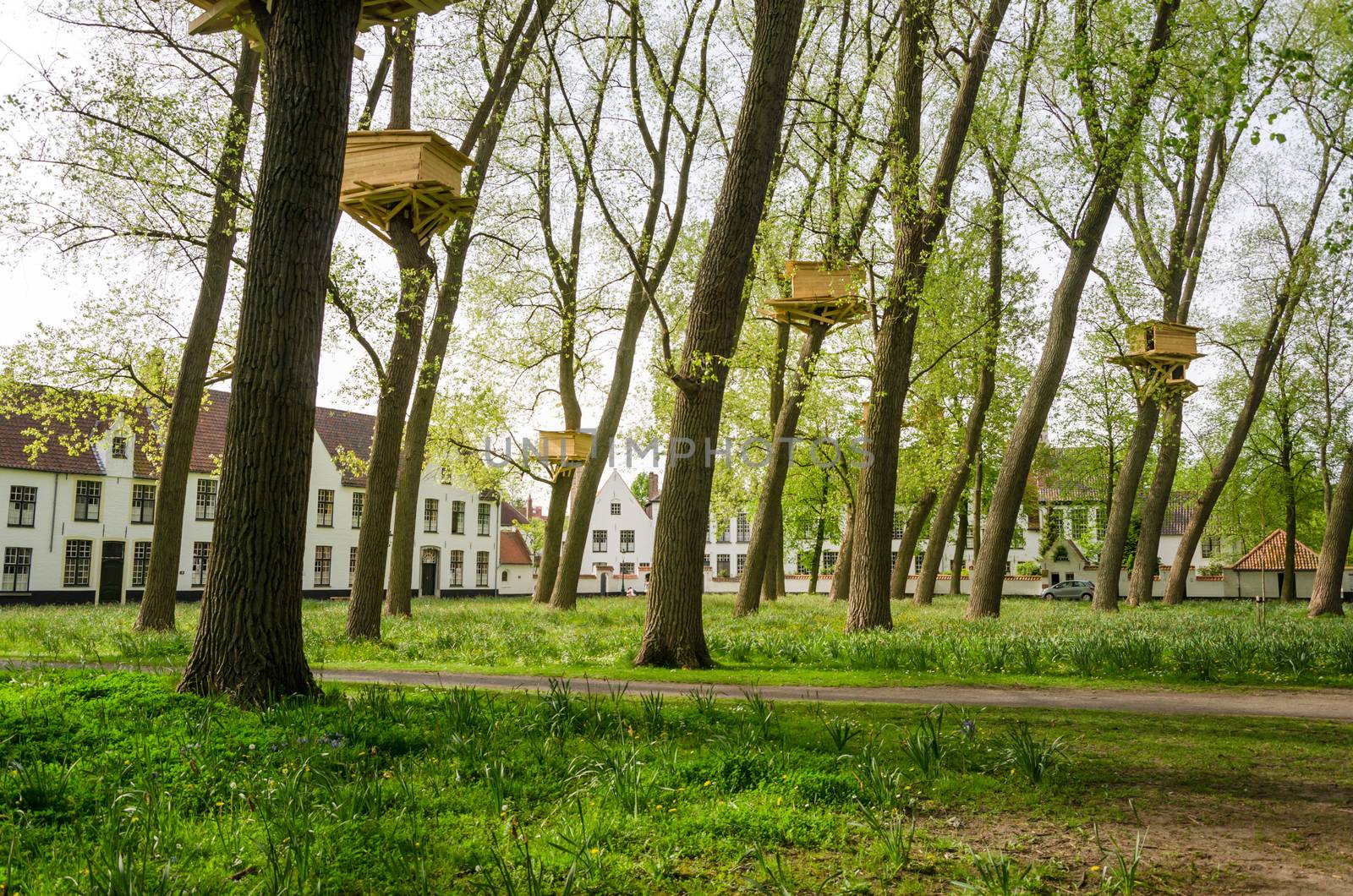 Tree Houses in the Beguinage (Begijnhof) in Bruges, Belgium