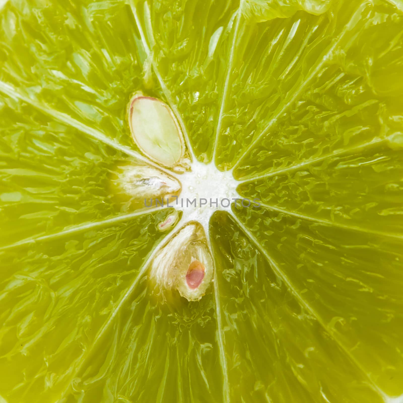 Closeup slice of  lime fruit  background.