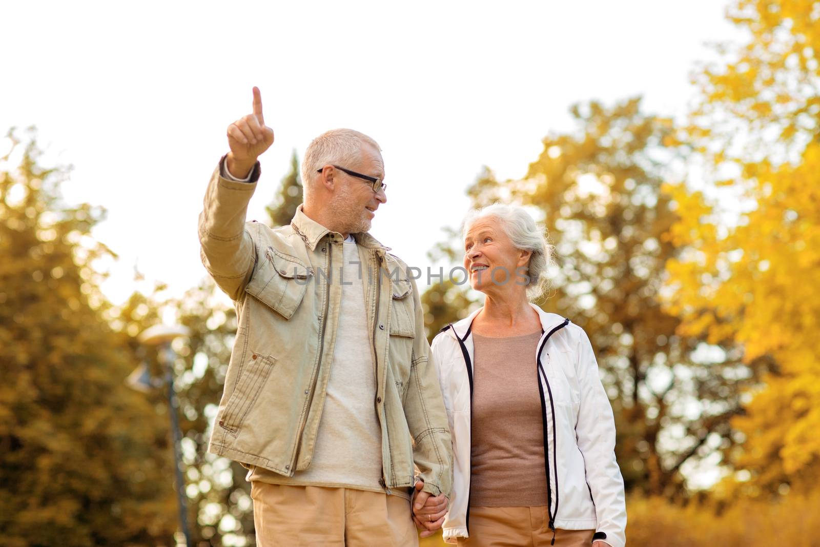 family, age, tourism, travel and people concept - senior couple pointing finger and walking in park