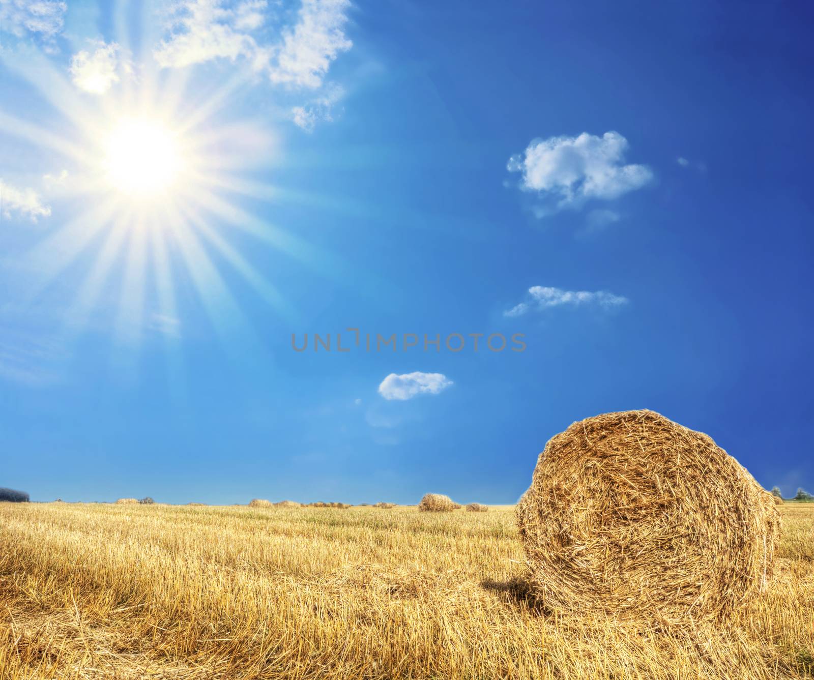 Rural landscape. Bright sun over the field at summer.