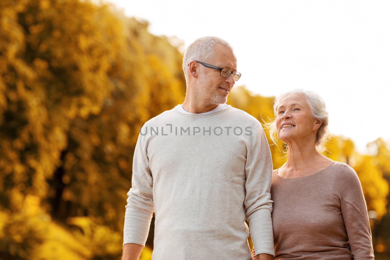 family, age, tourism, travel and people concept - senior couple walking in park