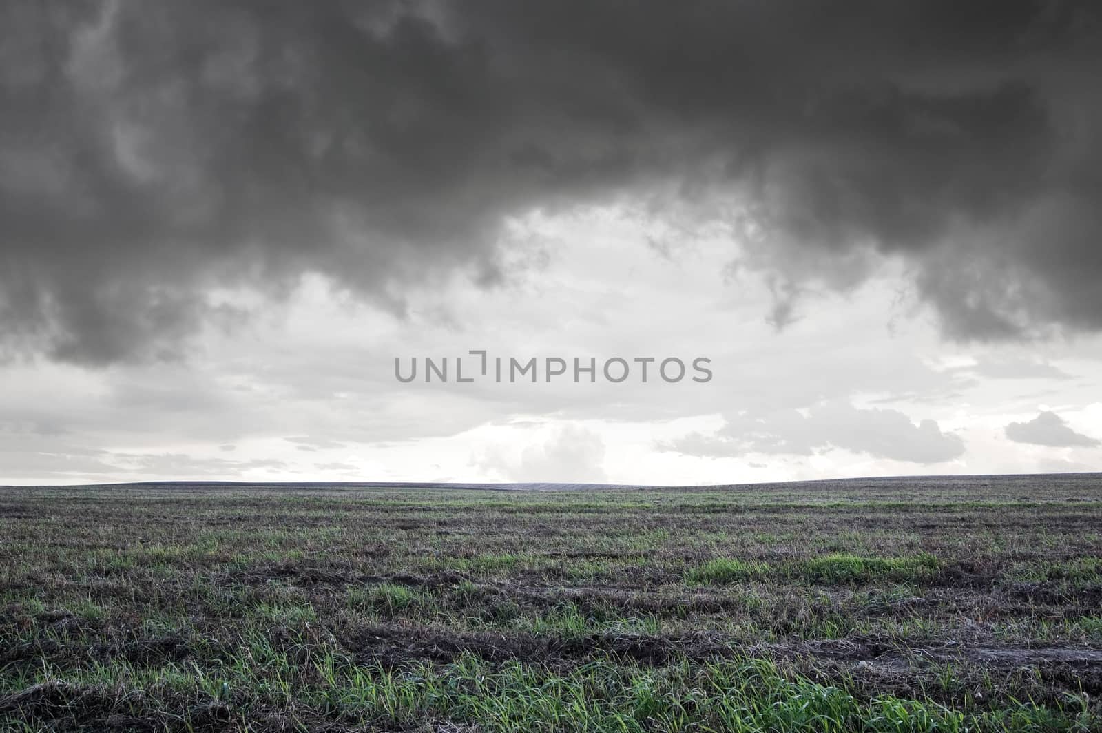 Storm clouds over field with green grass.