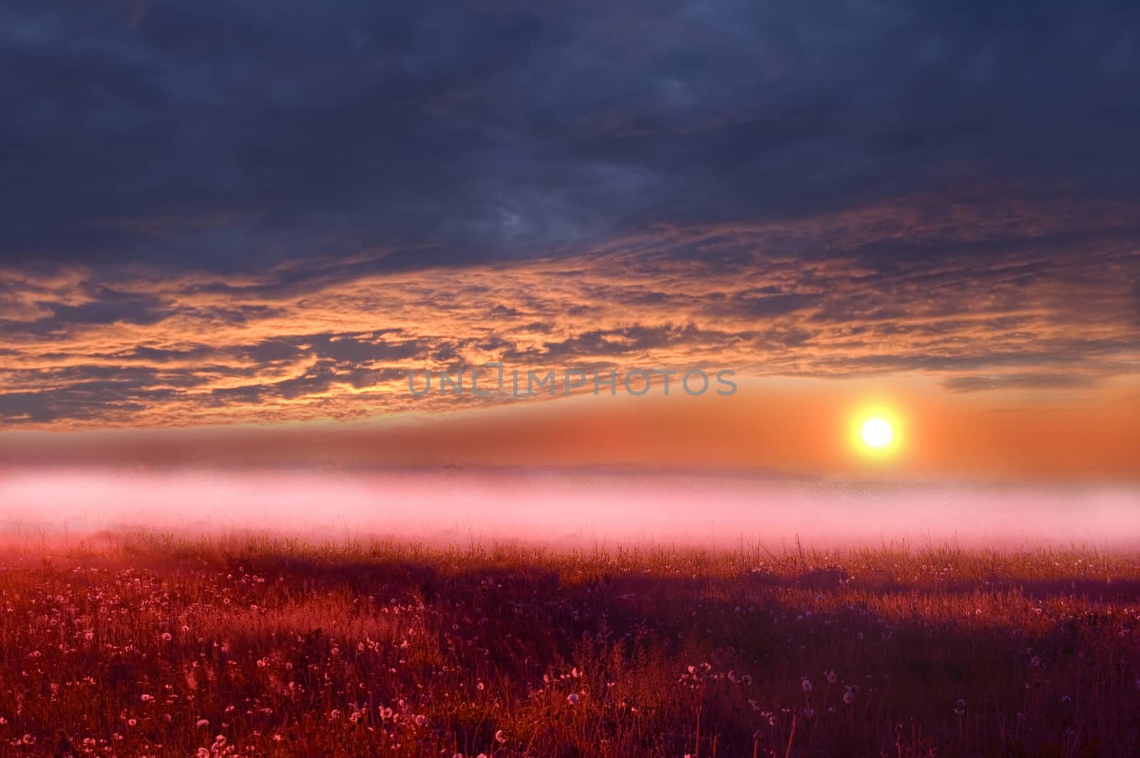 Beautiful sunrise on the field.