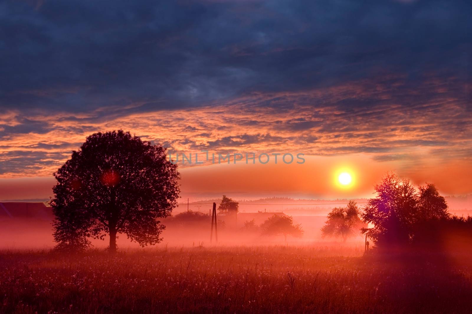 Beautiful sunrise on the field.