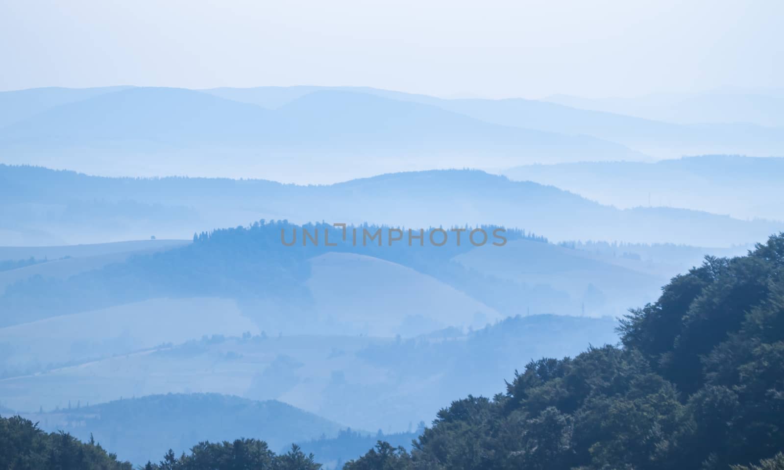 Foggy landscape in the Ukrainian Carpathians by Chechotkin