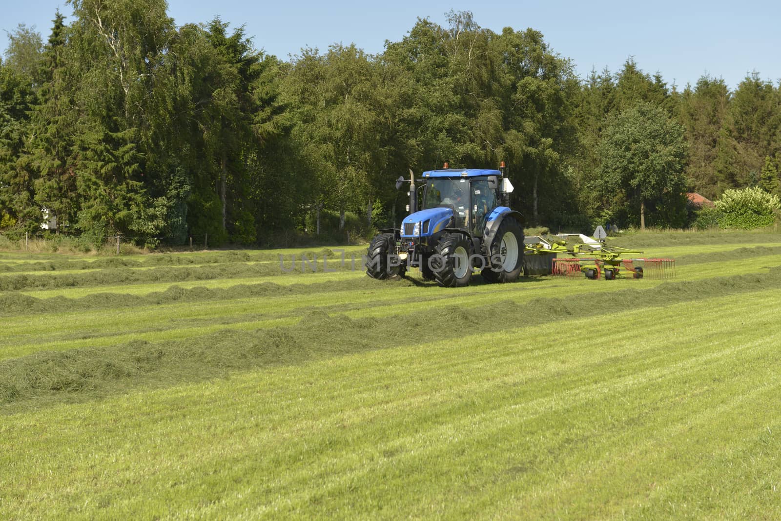 Agriculture, the kidding of shaken grass with blue tractor with kidder
