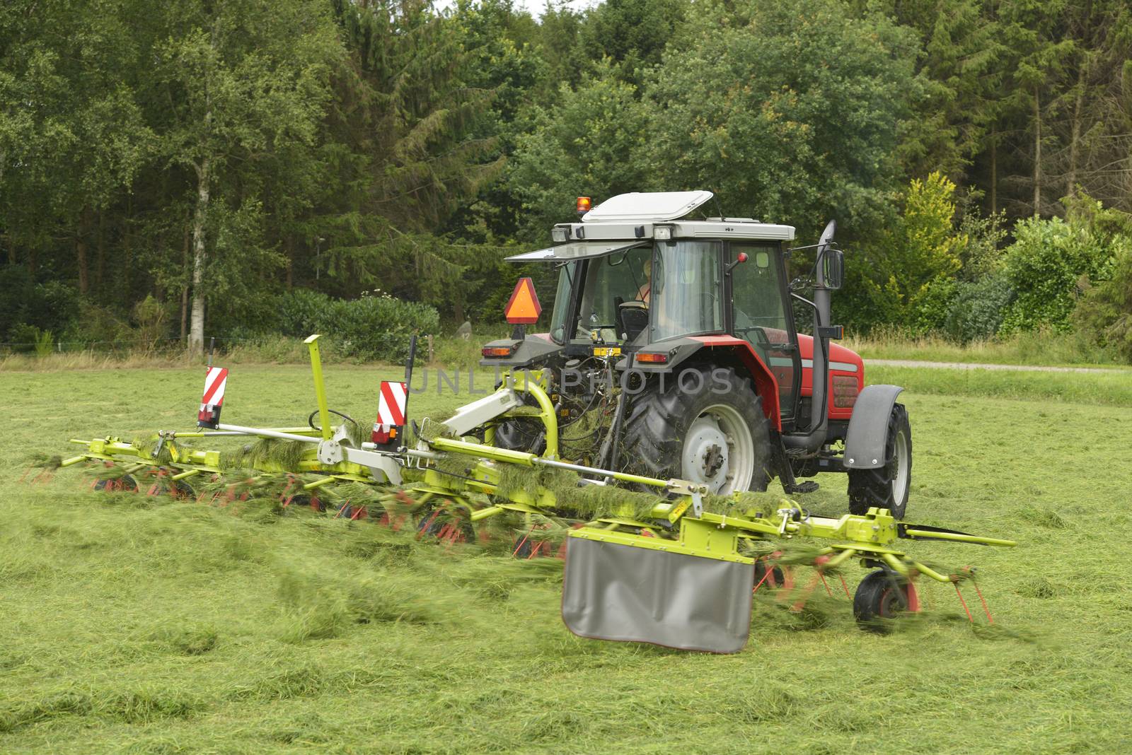 Agriculture, shaking of the mown grass with red tractor with Tedder
