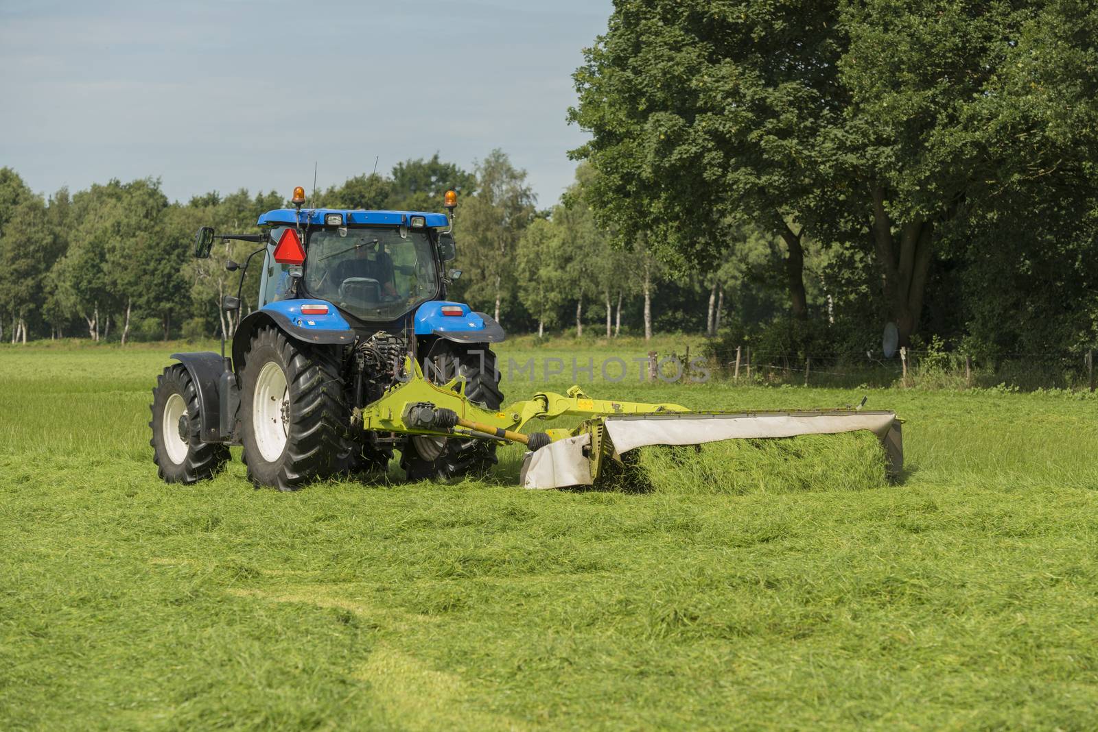 Agriculture, pasture mowing with blue tractor 
