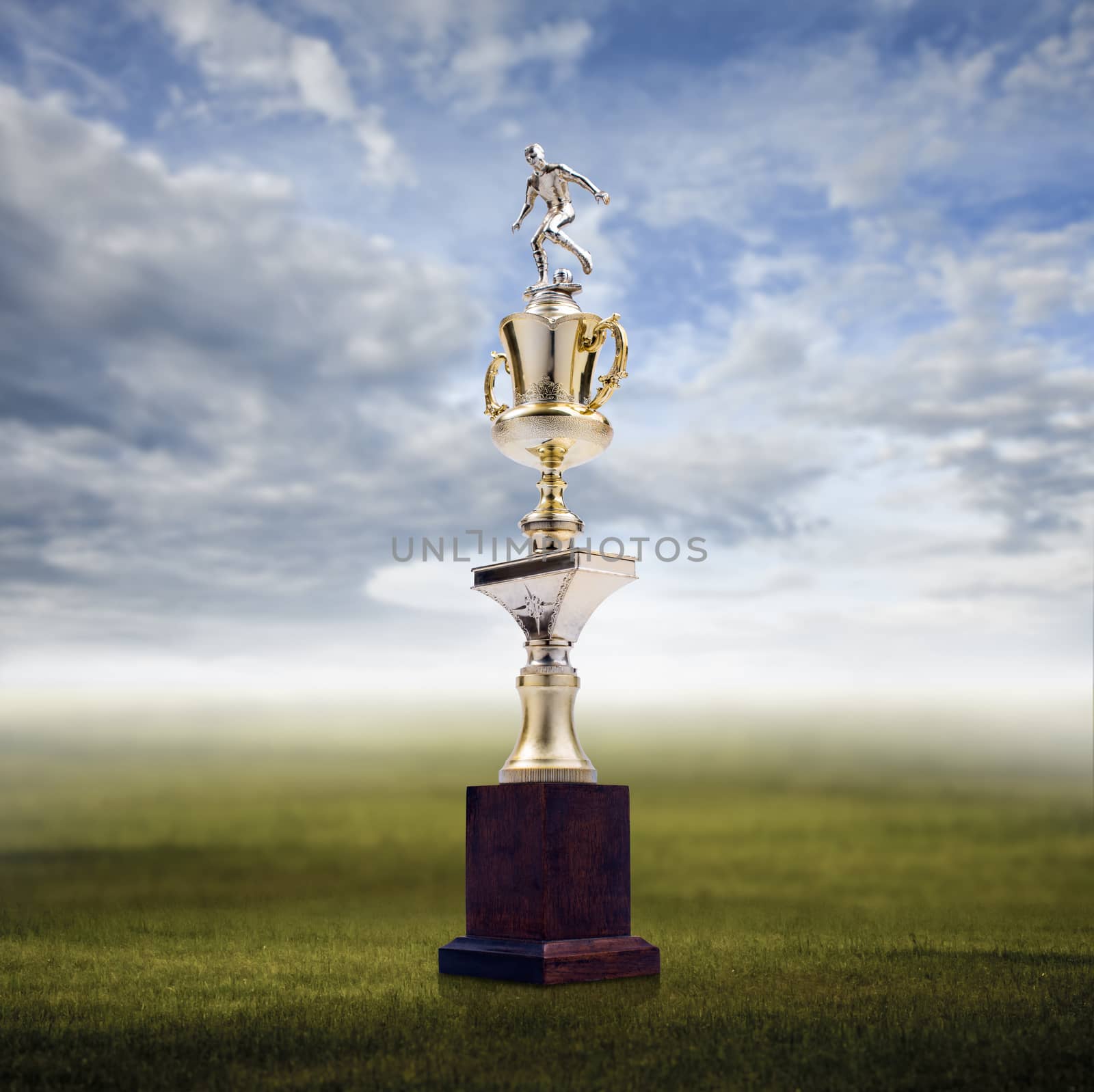 Football trophy with nice landscape background, Success concept by pixbox77