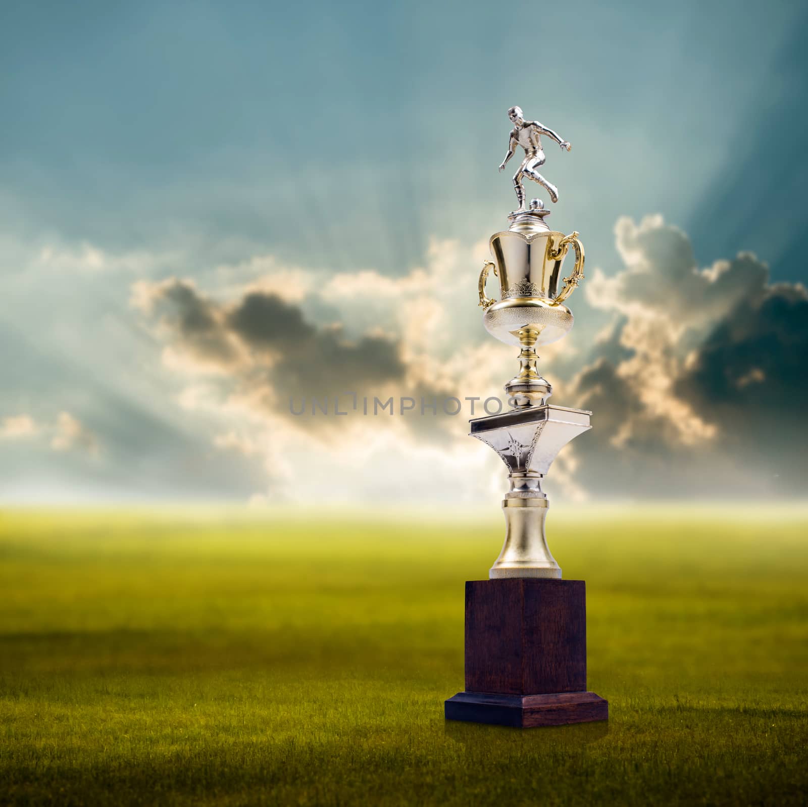 Football trophy with nice landscape background, Success concept by pixbox77