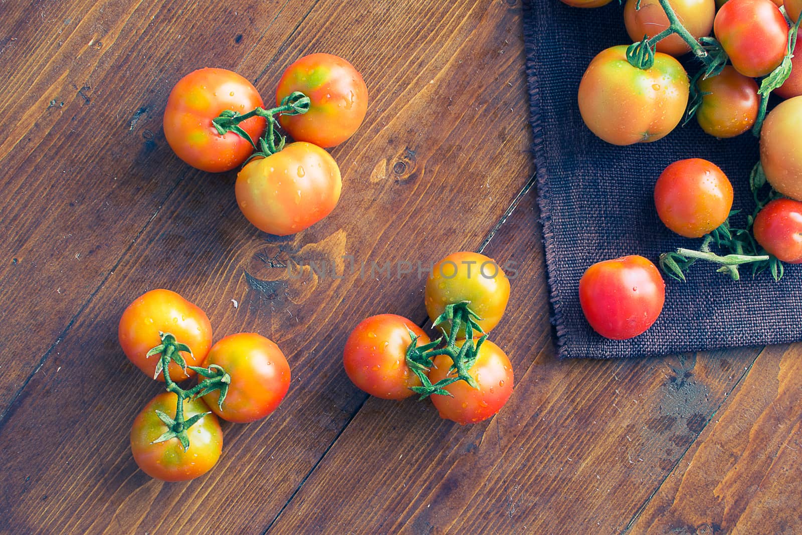 freshly picked tomatoes by cedicocinovo