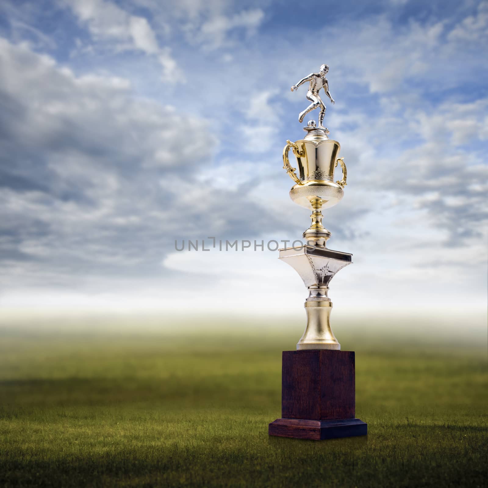 Football trophy with nice landscape background, Success concept by pixbox77