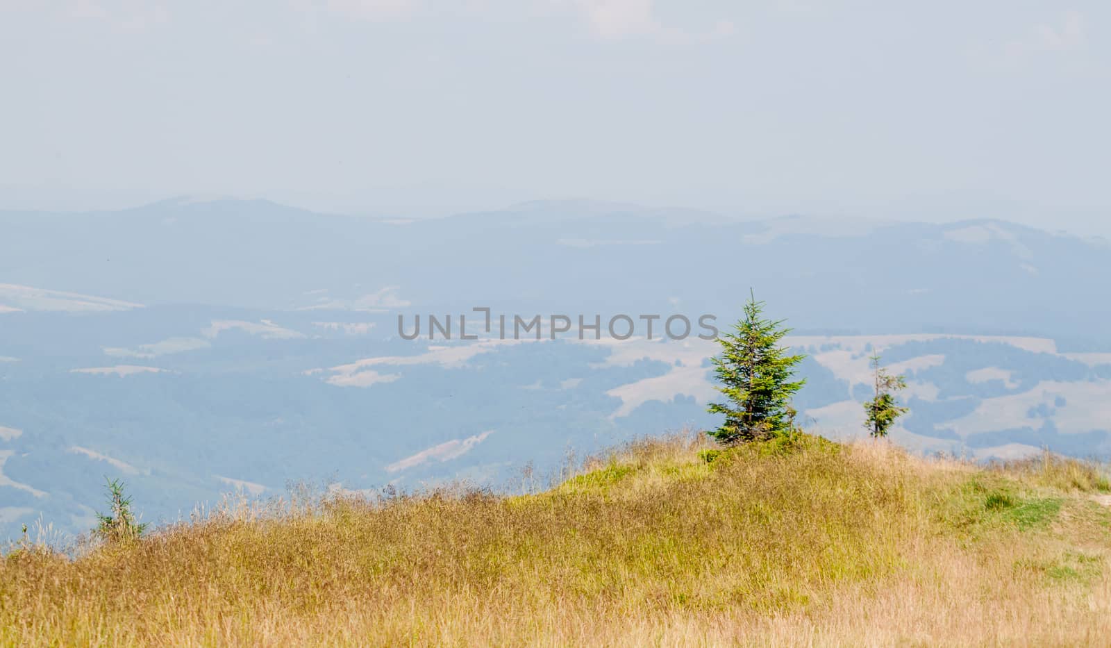 summer landscape in the Ukrainian Carpathians by Chechotkin